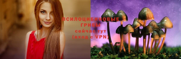 ALPHA PVP Верхнеуральск